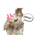 ミスターるい。（個別スタンプ：7）