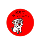 喜怒哀楽パグちゃん（個別スタンプ：4）