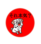 喜怒哀楽パグちゃん（個別スタンプ：5）