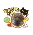 りおんとだいふく（個別スタンプ：5）