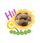 りおんとだいふく（個別スタンプ：8）