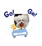 りおんとだいふく（個別スタンプ：11）
