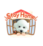 りおんとだいふく（個別スタンプ：14）