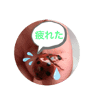koncyuu3（個別スタンプ：4）