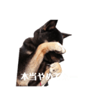 KURO様の口癖（個別スタンプ：5）