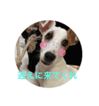 豆次郎（個別スタンプ：6）