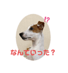 豆次郎（個別スタンプ：8）