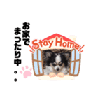 みんなの日常。。（個別スタンプ：2）