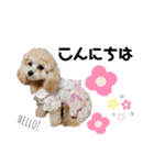 杏とお友達シリーズ（個別スタンプ：2）