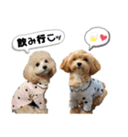 杏とお友達シリーズ（個別スタンプ：8）