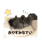 杏とお友達シリーズ（個別スタンプ：13）