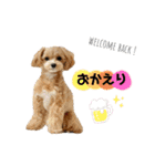 杏とお友達シリーズ（個別スタンプ：33）