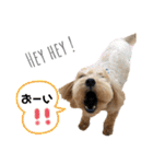 杏とお友達シリーズ（個別スタンプ：34）