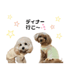 杏のお友達シリーズ（個別スタンプ：7）