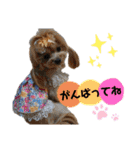 杏のお友達シリーズ（個別スタンプ：24）