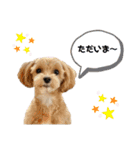 杏のお友達シリーズ（個別スタンプ：32）