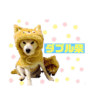 小夏＆小毬（個別スタンプ：13）