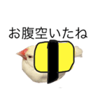 ピ (絵とリアル)（個別スタンプ：5）