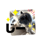 コロとモコのたのしい毎日☆（個別スタンプ：26）