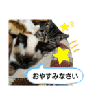 チョコミルスタンプ2（個別スタンプ：9）