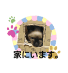チョコミルスタンプ2（個別スタンプ：15）