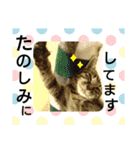 チョコミルスタンプ2（個別スタンプ：18）