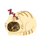 チョコミルスタンプ2（個別スタンプ：20）
