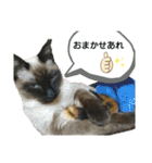 チョコミルスタンプ2（個別スタンプ：21）