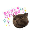仲良しブリちゃんfamily♡敬語編（個別スタンプ：4）