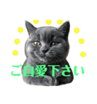 仲良しブリちゃんfamily♡敬語編（個別スタンプ：24）