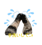 marin＆kohakuの気持ち②（個別スタンプ：1）