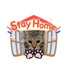 marin＆kohakuの気持ち②（個別スタンプ：5）