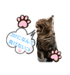 marin＆kohakuの気持ち②（個別スタンプ：7）