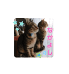 marin＆kohakuの気持ち②（個別スタンプ：16）