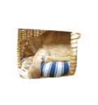 とらとみぃ（個別スタンプ：7）