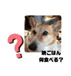 ROXY感情表現（個別スタンプ：1）