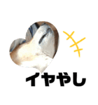 ROXY感情表現（個別スタンプ：4）