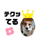 ROXY感情表現（個別スタンプ：16）