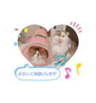 ふくたまゆめの日常①（個別スタンプ：1）