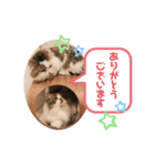 ふくたまゆめの日常①（個別スタンプ：3）