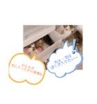 ふくたまゆめの日常①（個別スタンプ：6）