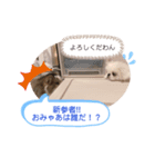 ふくたまゆめの日常①（個別スタンプ：8）
