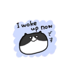 英語であいさつするネコ（個別スタンプ：12）