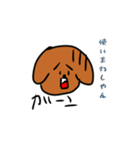 いぬっころ達と動物（個別スタンプ：11）