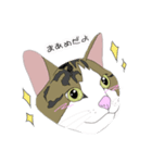 まあめすたんぷ（個別スタンプ：1）