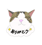 まあめすたんぷ（個別スタンプ：3）