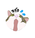まあめすたんぷ（個別スタンプ：4）