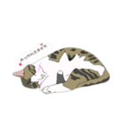 まあめすたんぷ（個別スタンプ：5）