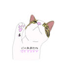 まあめすたんぷ（個別スタンプ：6）