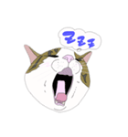 まあめすたんぷ（個別スタンプ：7）